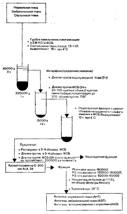     (),    ()  ,    (),     3 MKCI