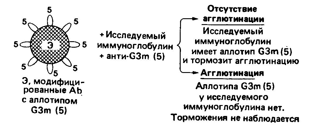   G3m(5)       
.